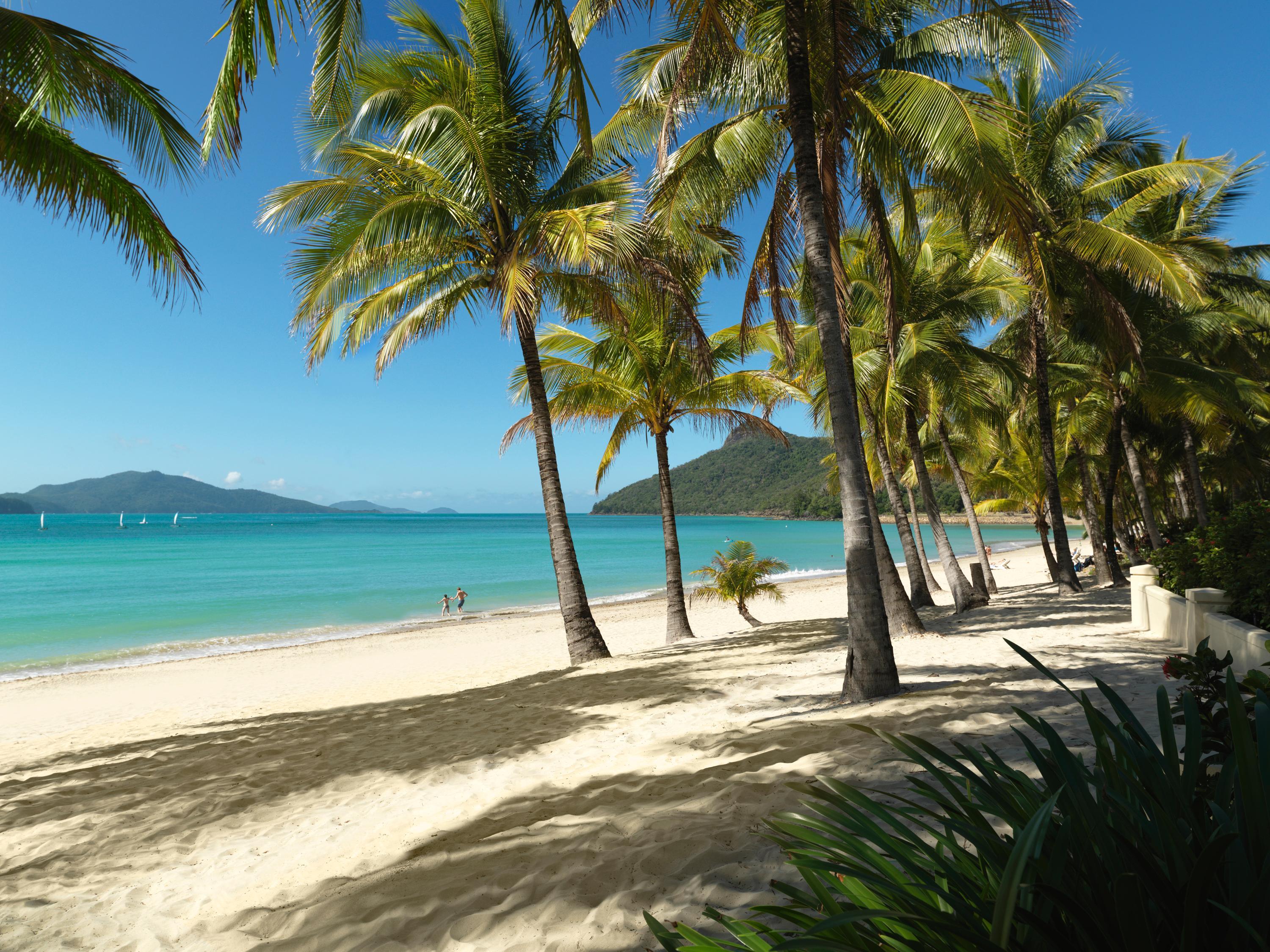 Reef View Hotel Insula Hamilton Exterior foto