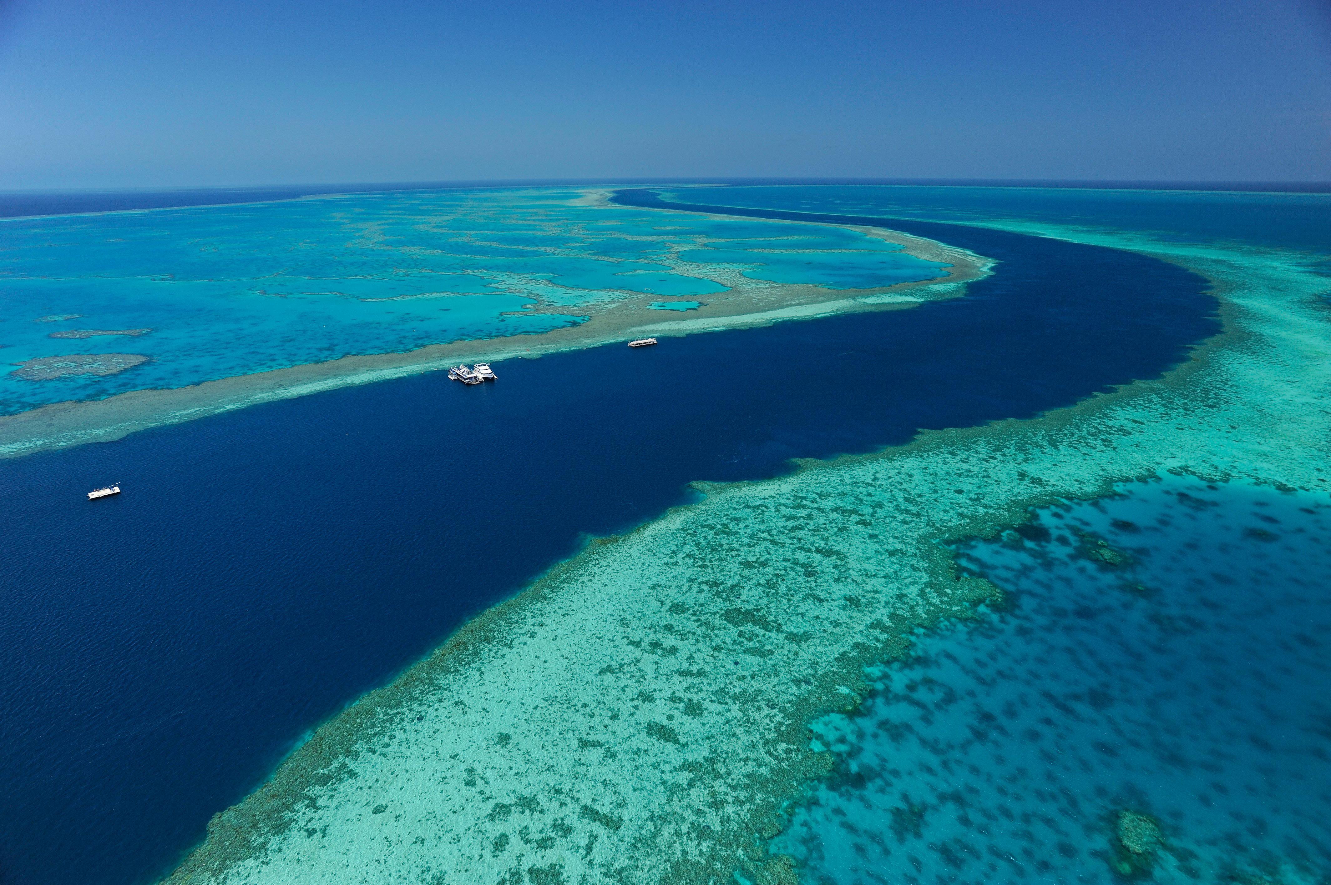 Reef View Hotel Insula Hamilton Exterior foto